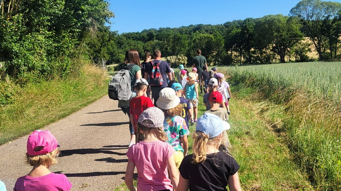 Visite de la Ferme Groupe d'enfants marchant sur un chemin rural ensoleillé, entouré de verdure.